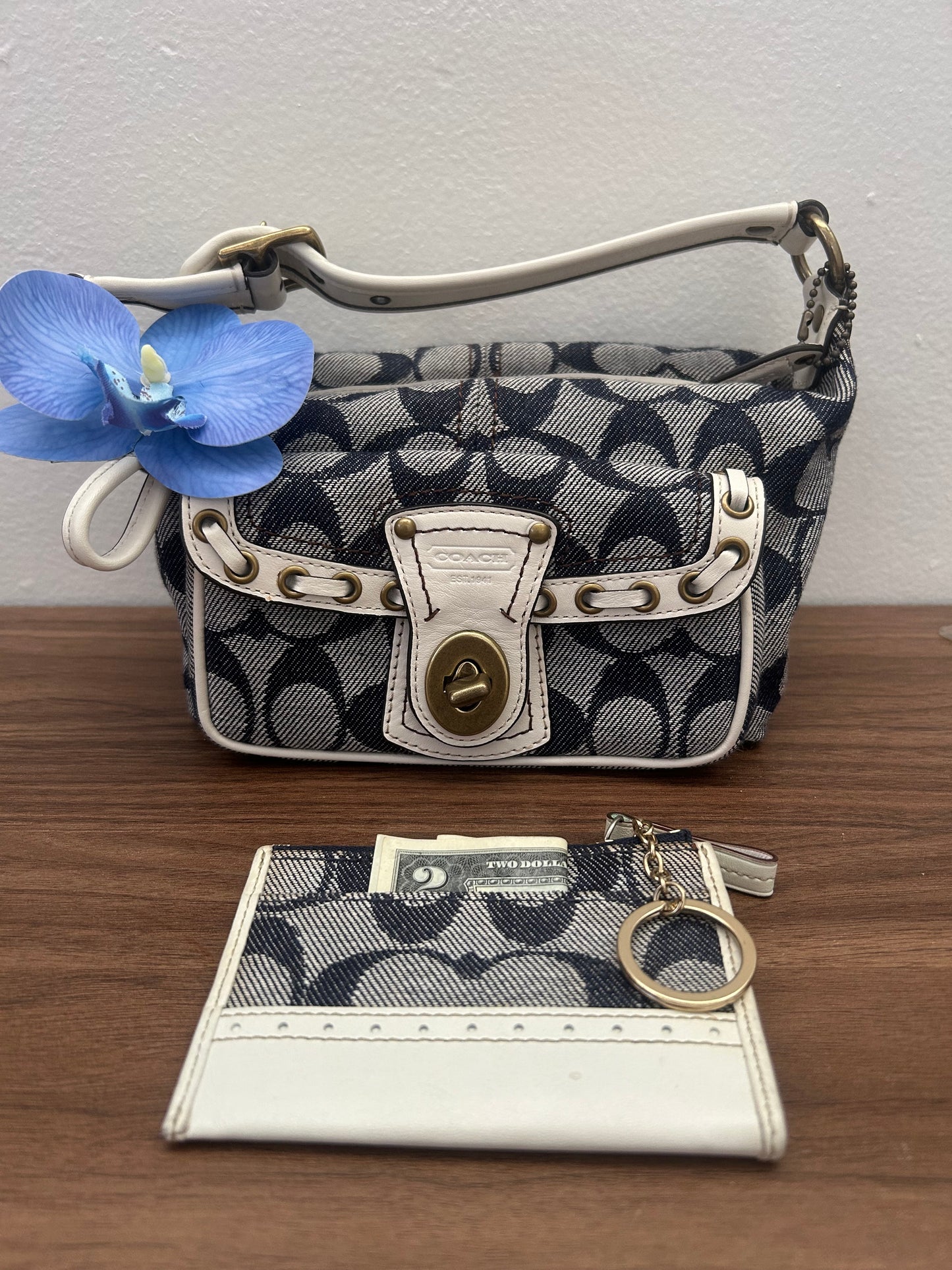 Coach Mini Skinny ID Case