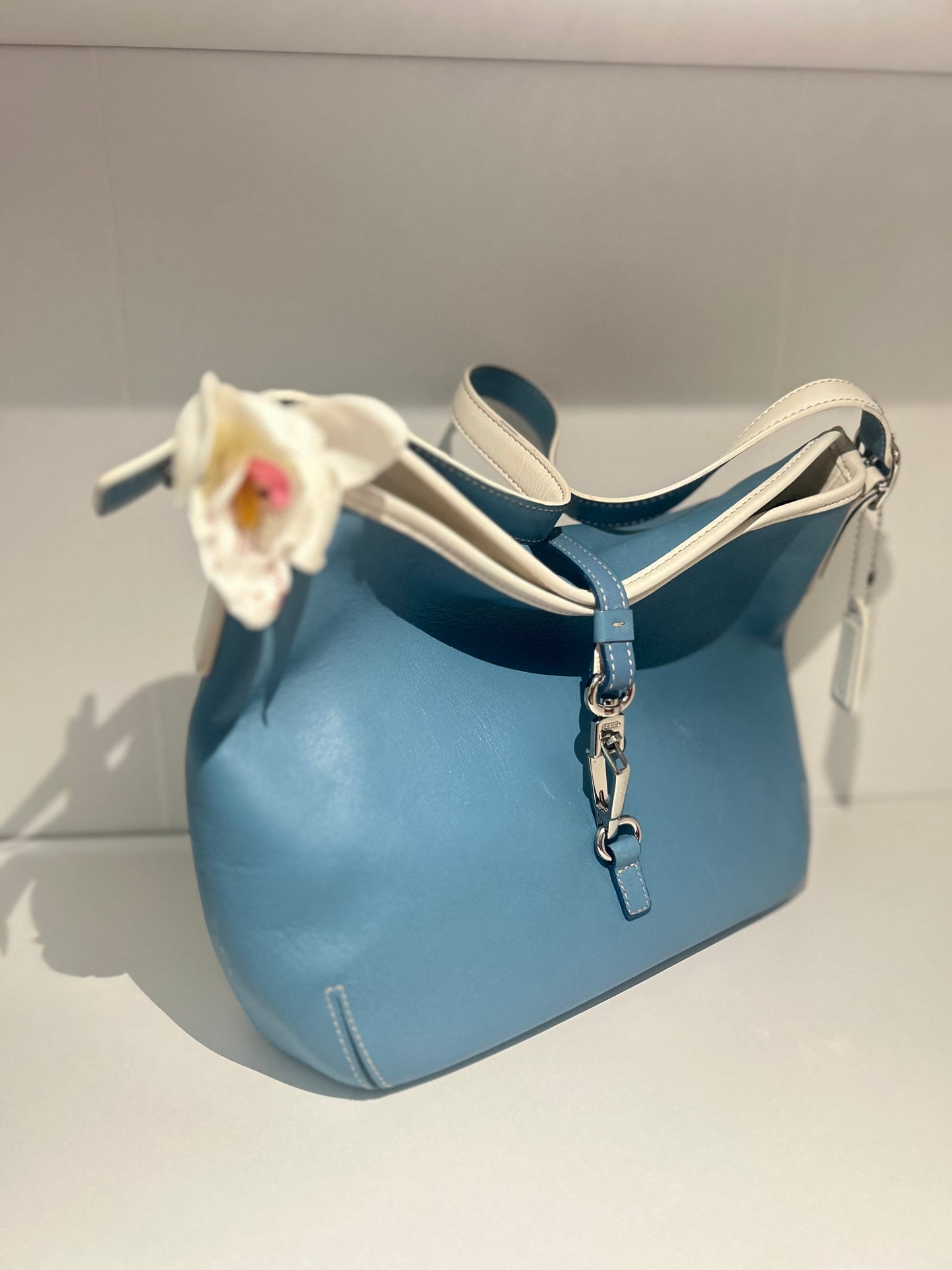 RARE Blue Hampton Clip Bag