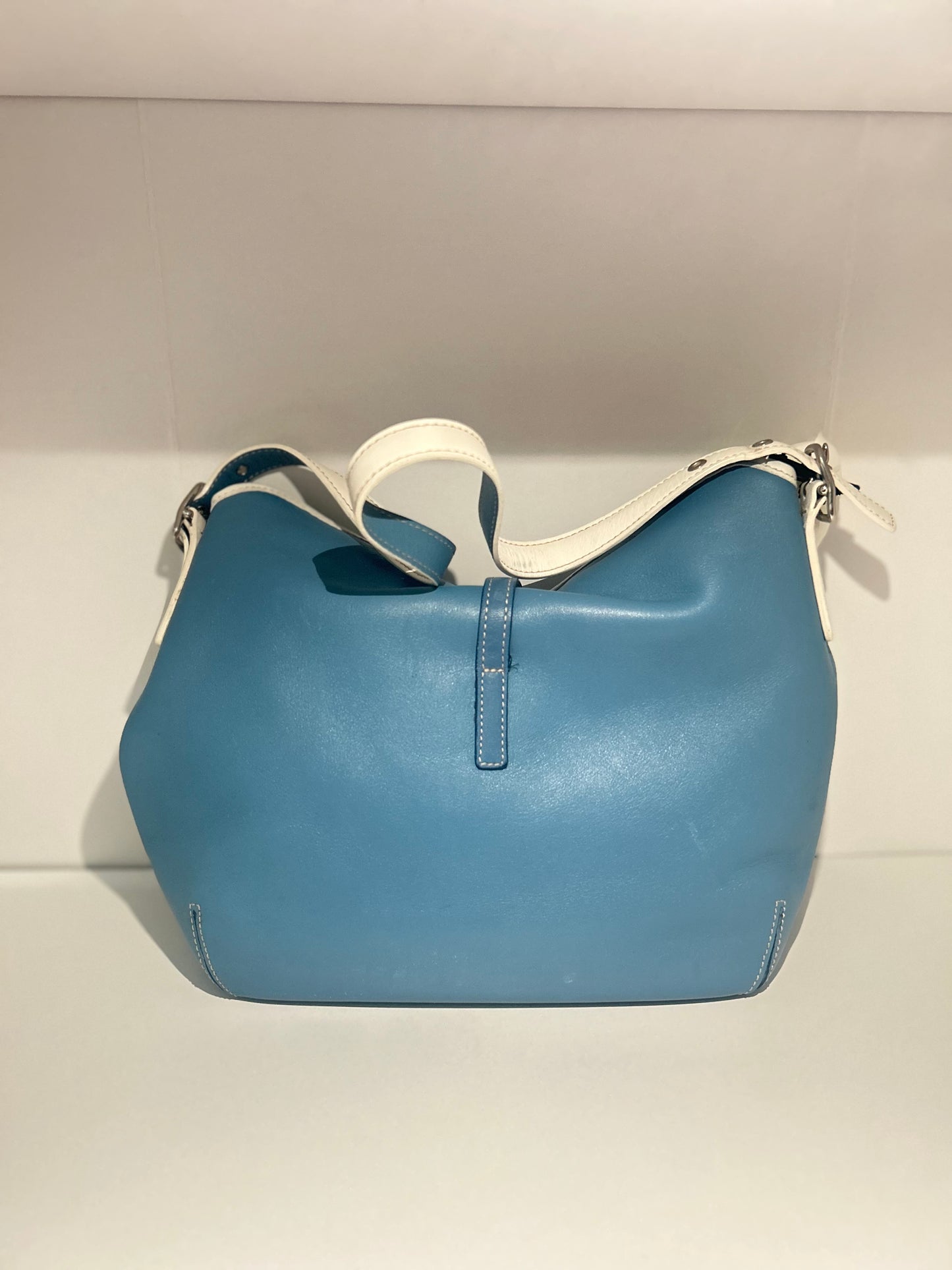 RARE Blue Hampton Clip Bag