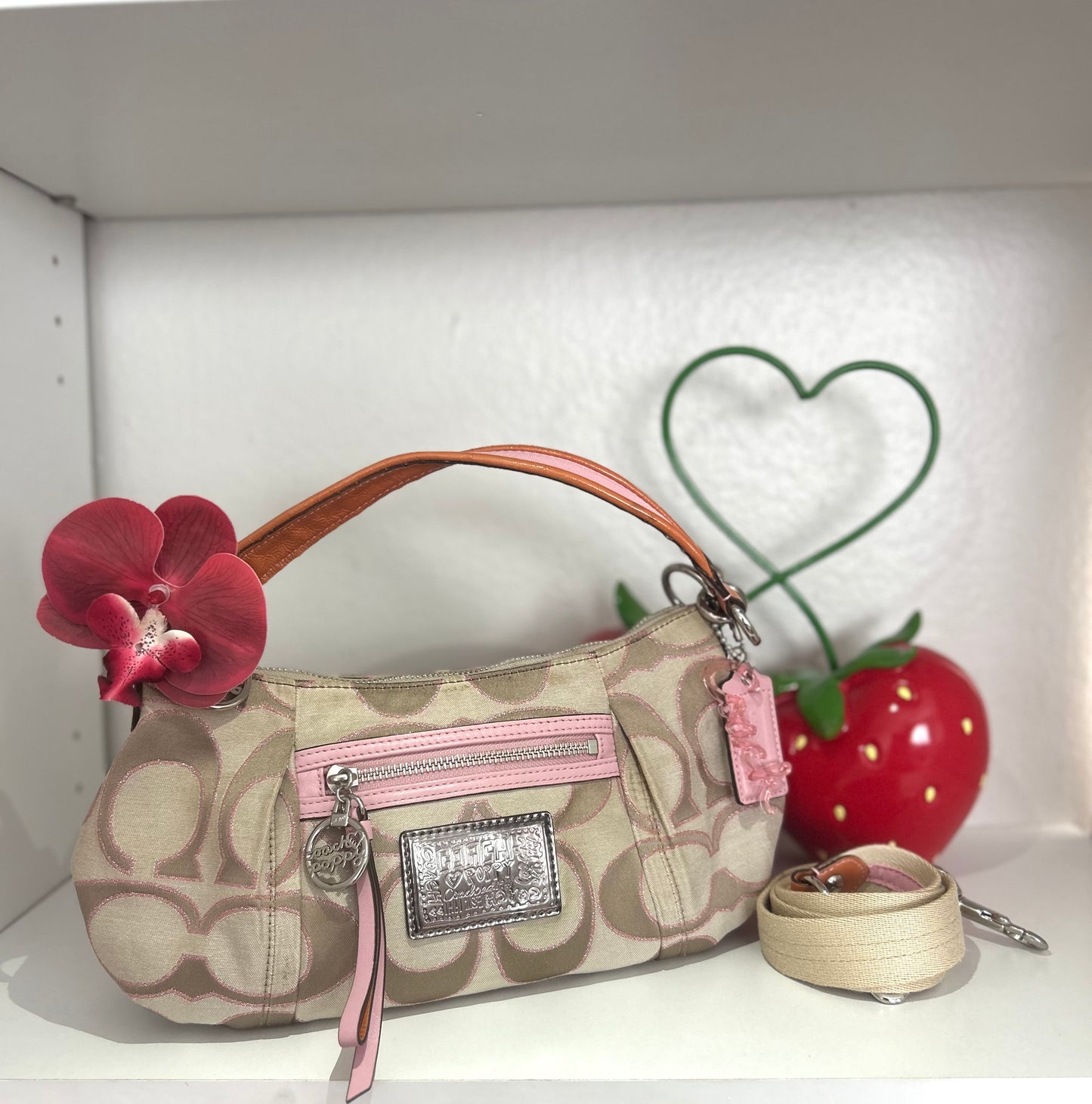 Coach Poppy Signature Handbag