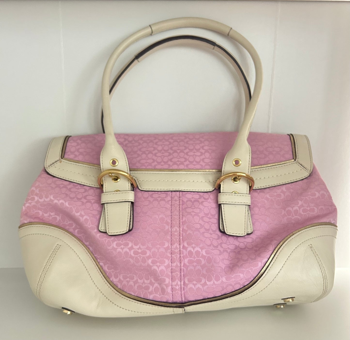 RARE Pink Optic Satchel Bag