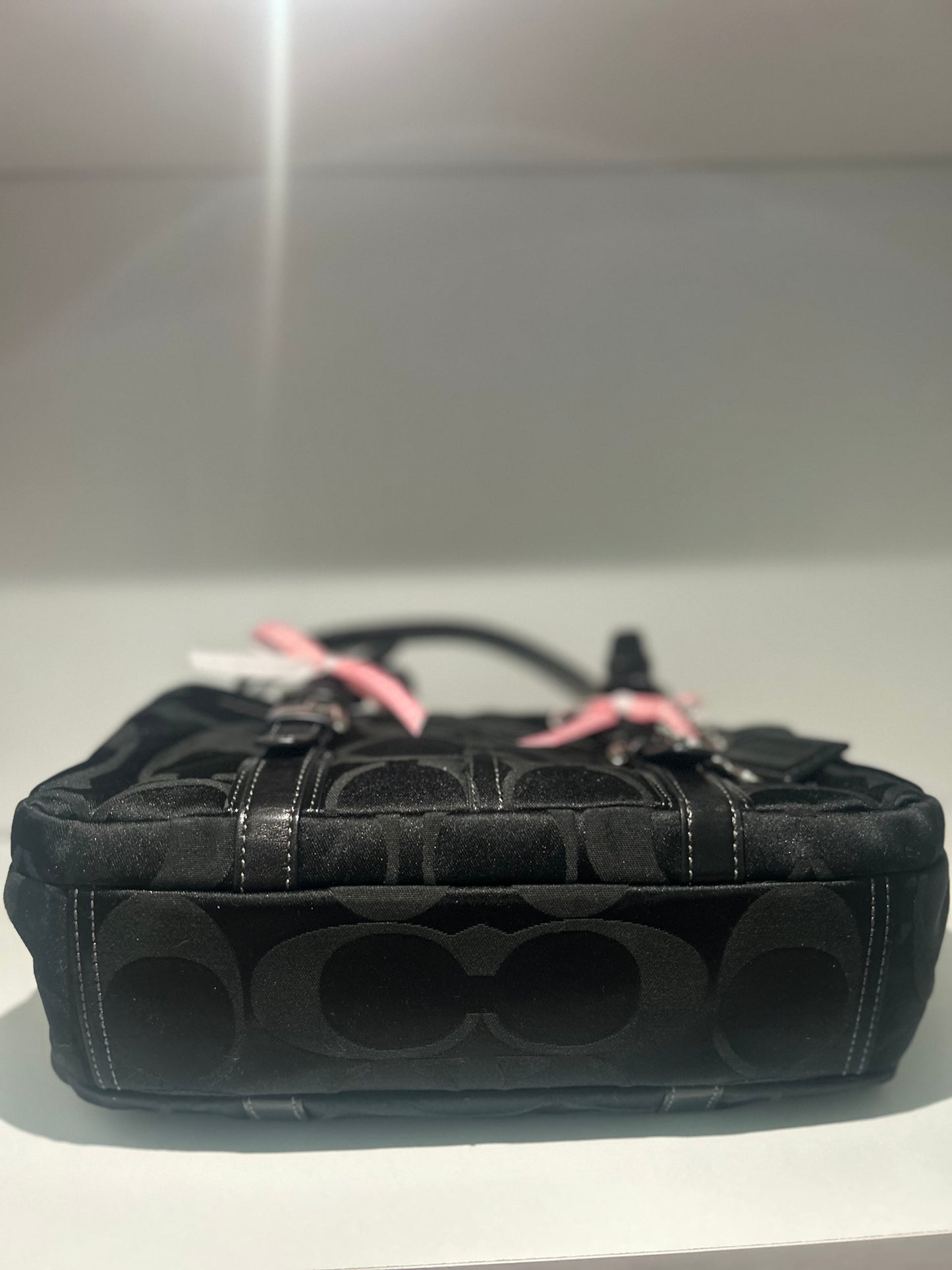 VERY RARE FIND Mini Y2K Coach Satchel