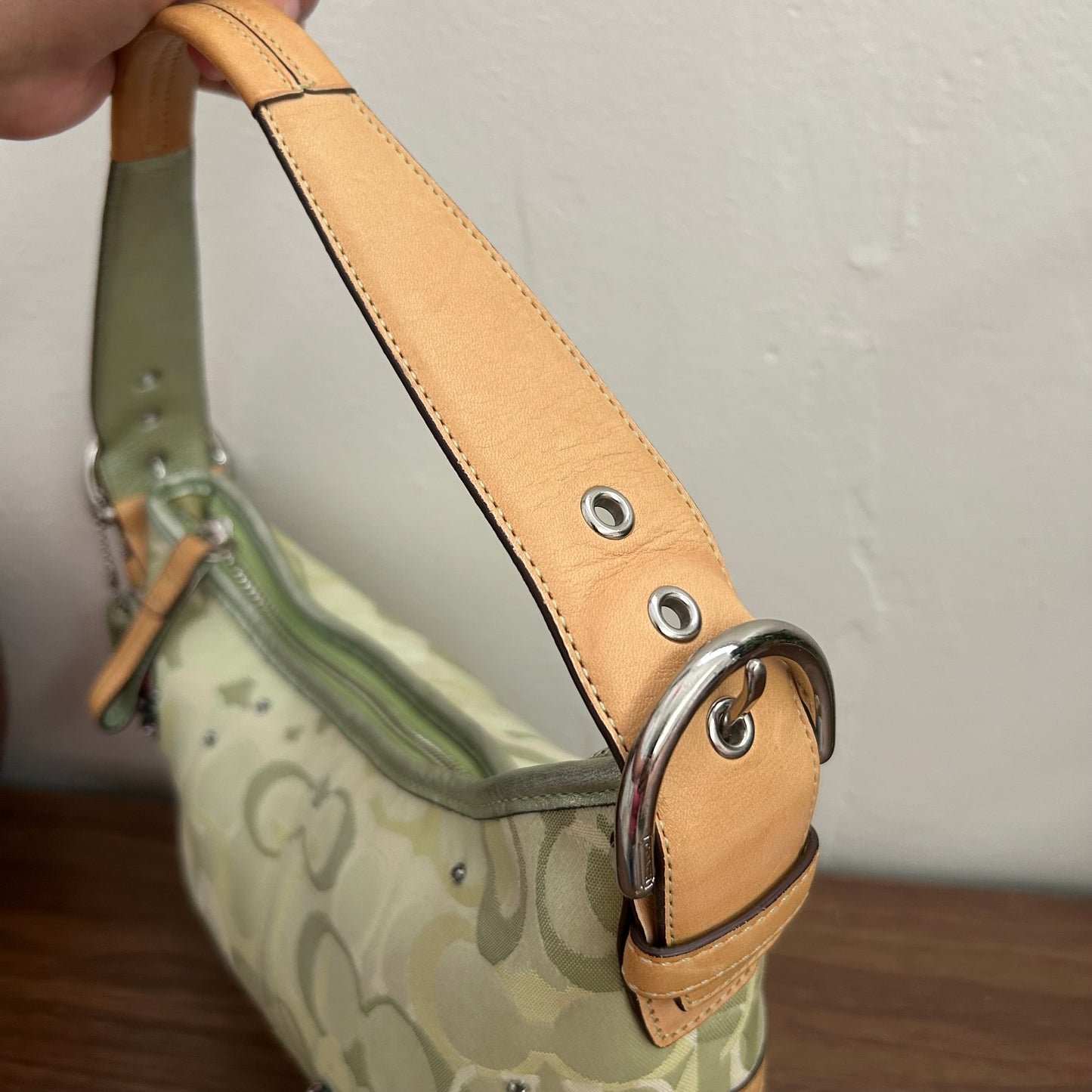 Ladybug Optic Signature Hobo
