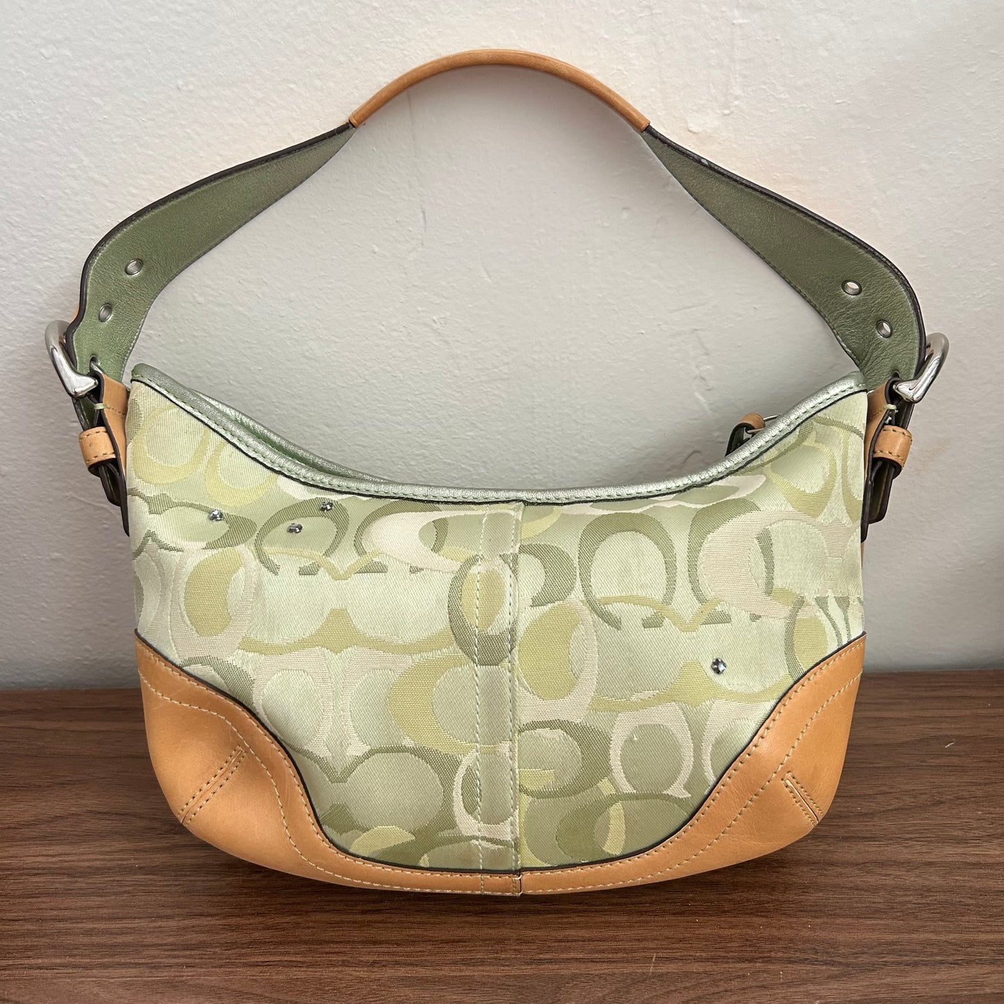 Ladybug Optic Signature Hobo