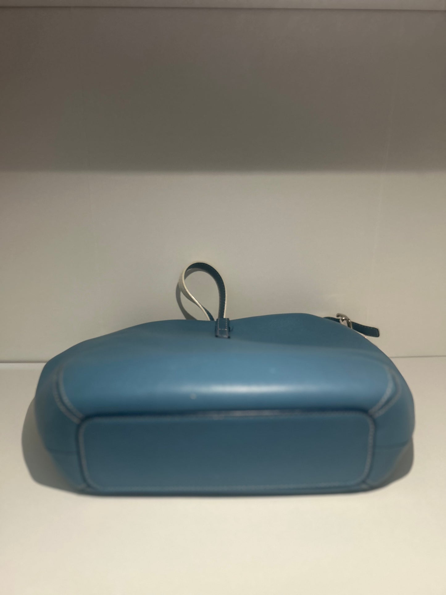 RARE Blue Hampton Clip Bag