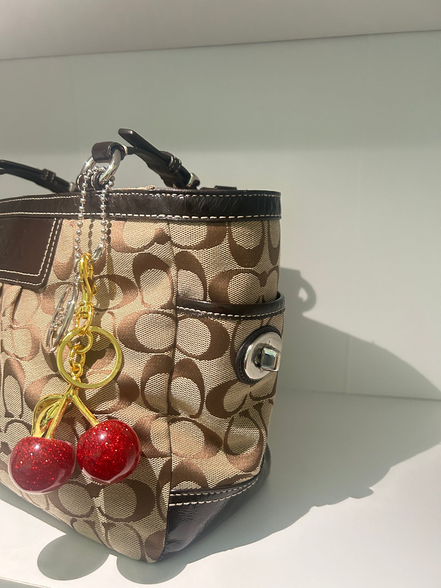Coach Gallery Tote Set