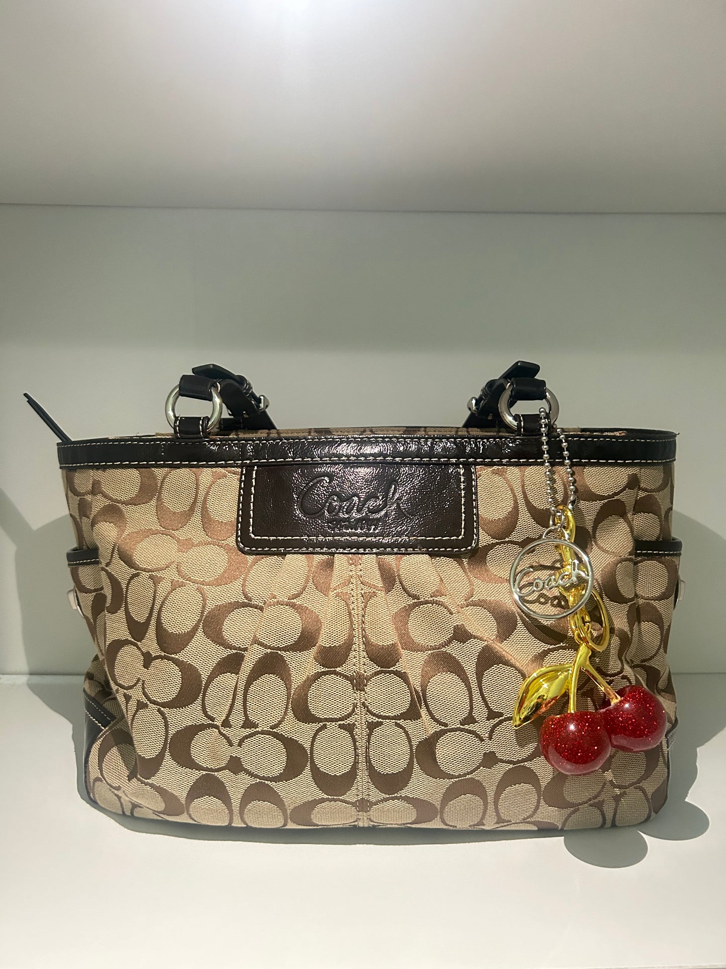 Coach Gallery Tote Set