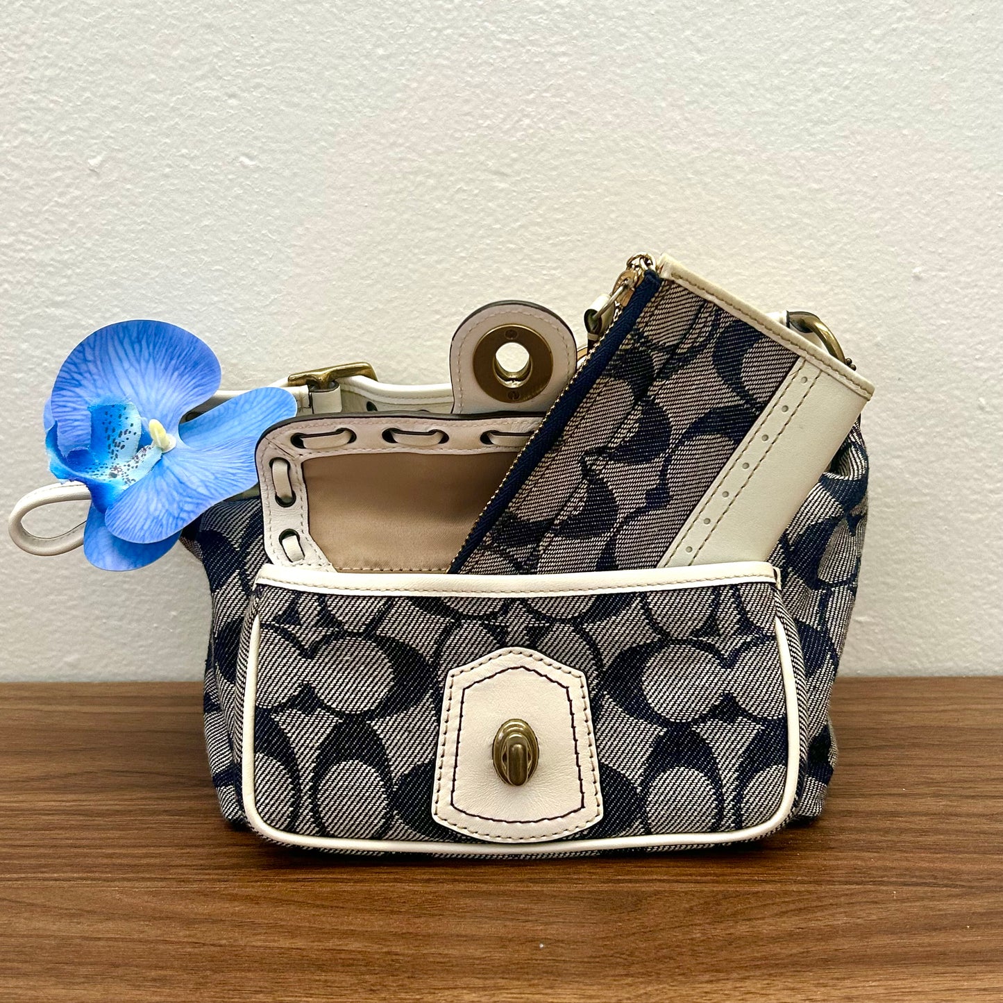 Coach Mini Skinny ID Case